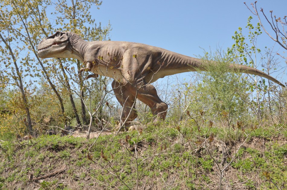 Jersey Shore Travel: T-Rex Dinosaur