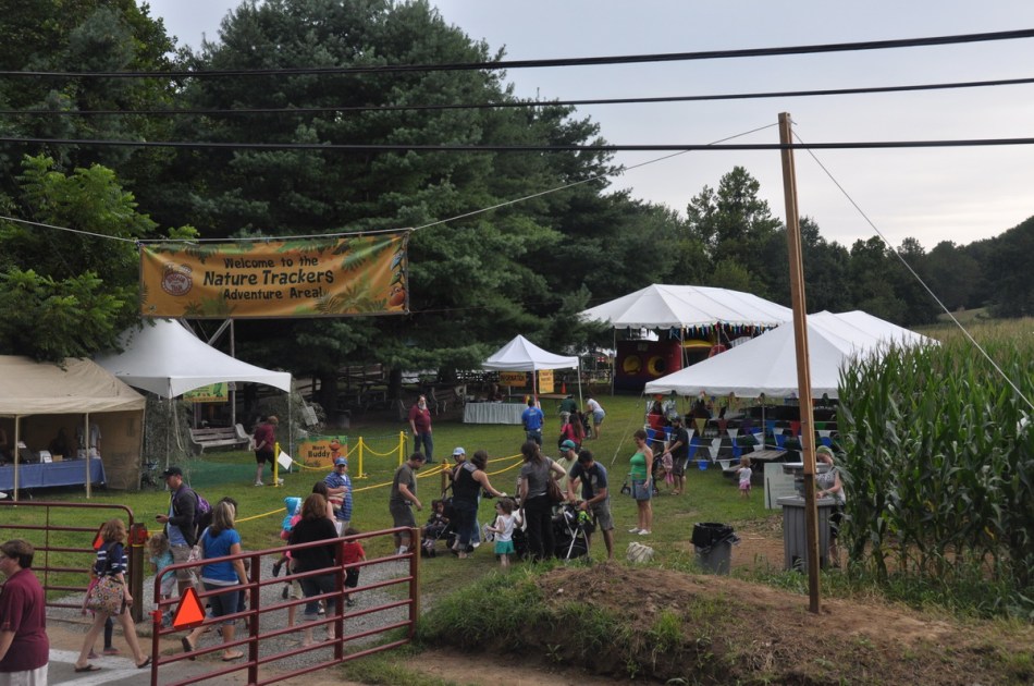 Riding the Dinosaur Train near the Jersey Shore