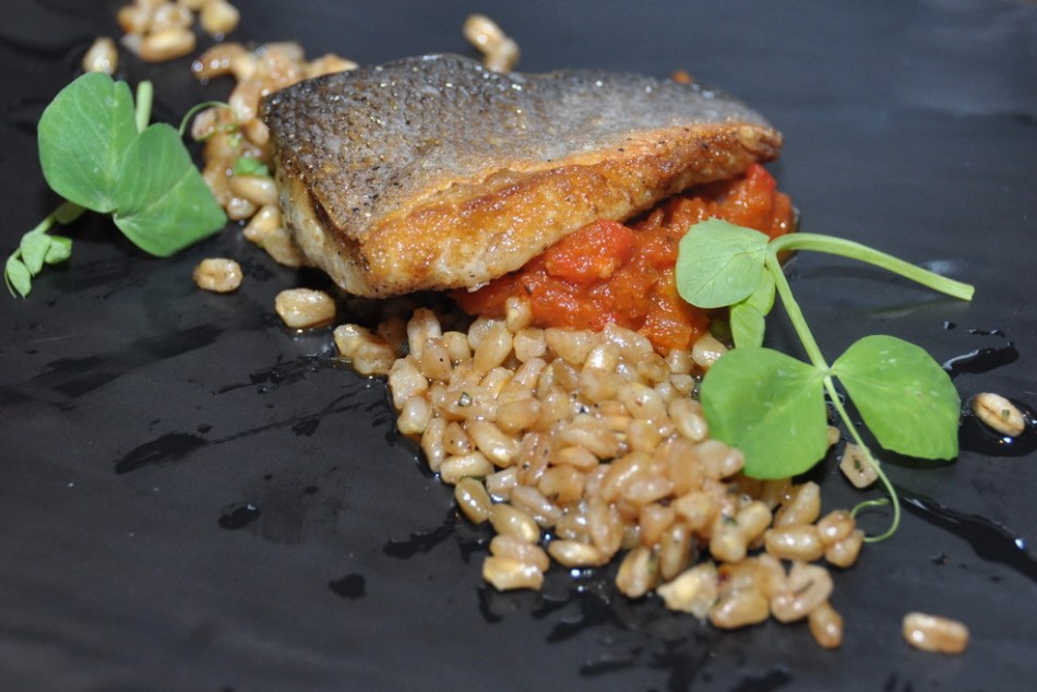 NJ Restaurant Reviews: Bistro Rylo