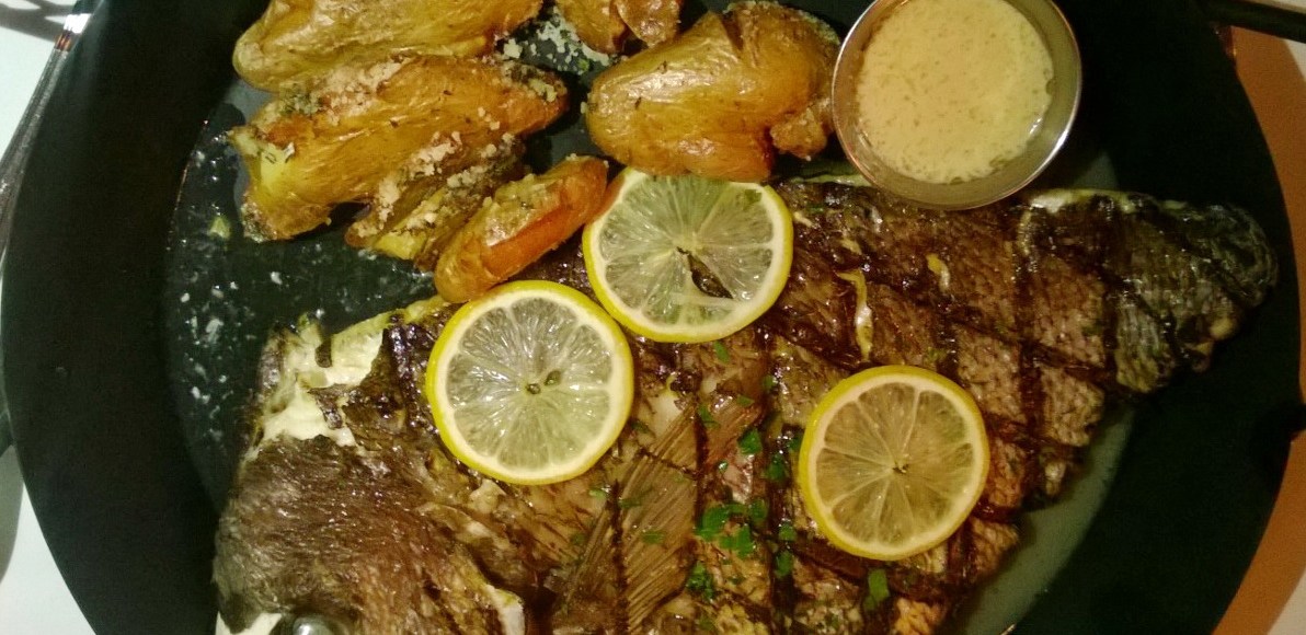 Catch Review Red Bank Red Snapper Fish