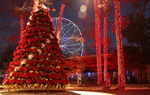 Six Flags NJ Holiday in the Park