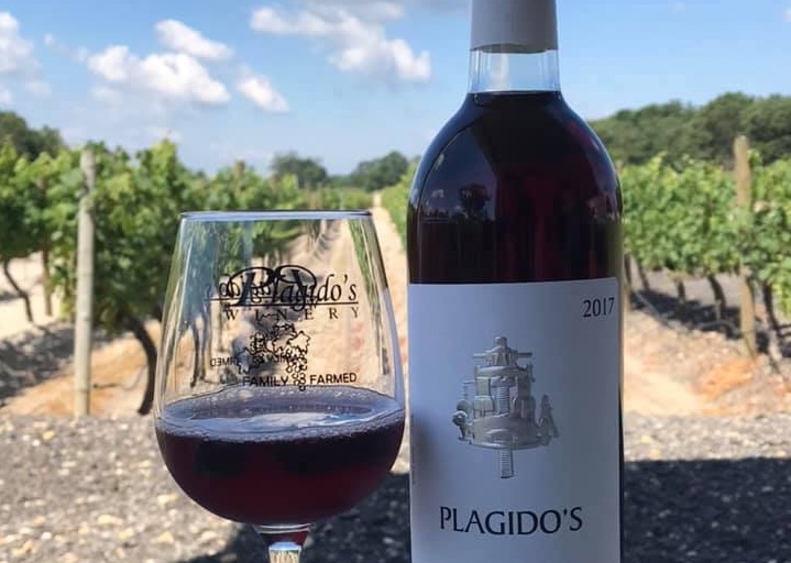 NJ Winery Reviews: Plagido's Winery Hammonton