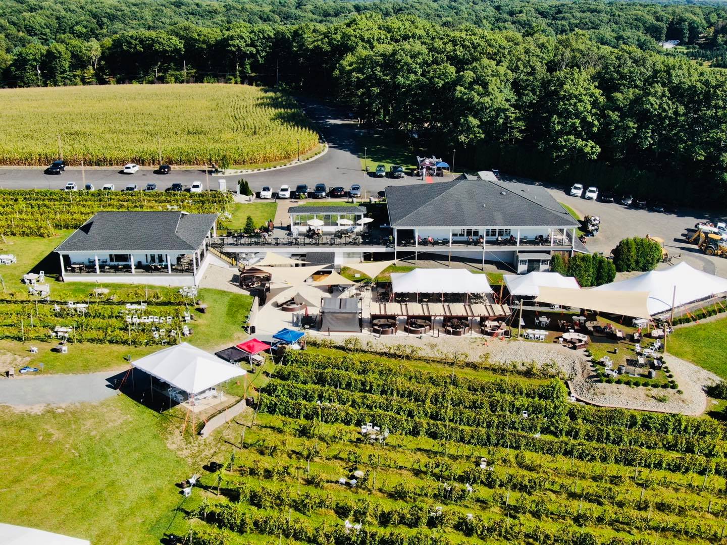 Blue Ridge Winery PA Review