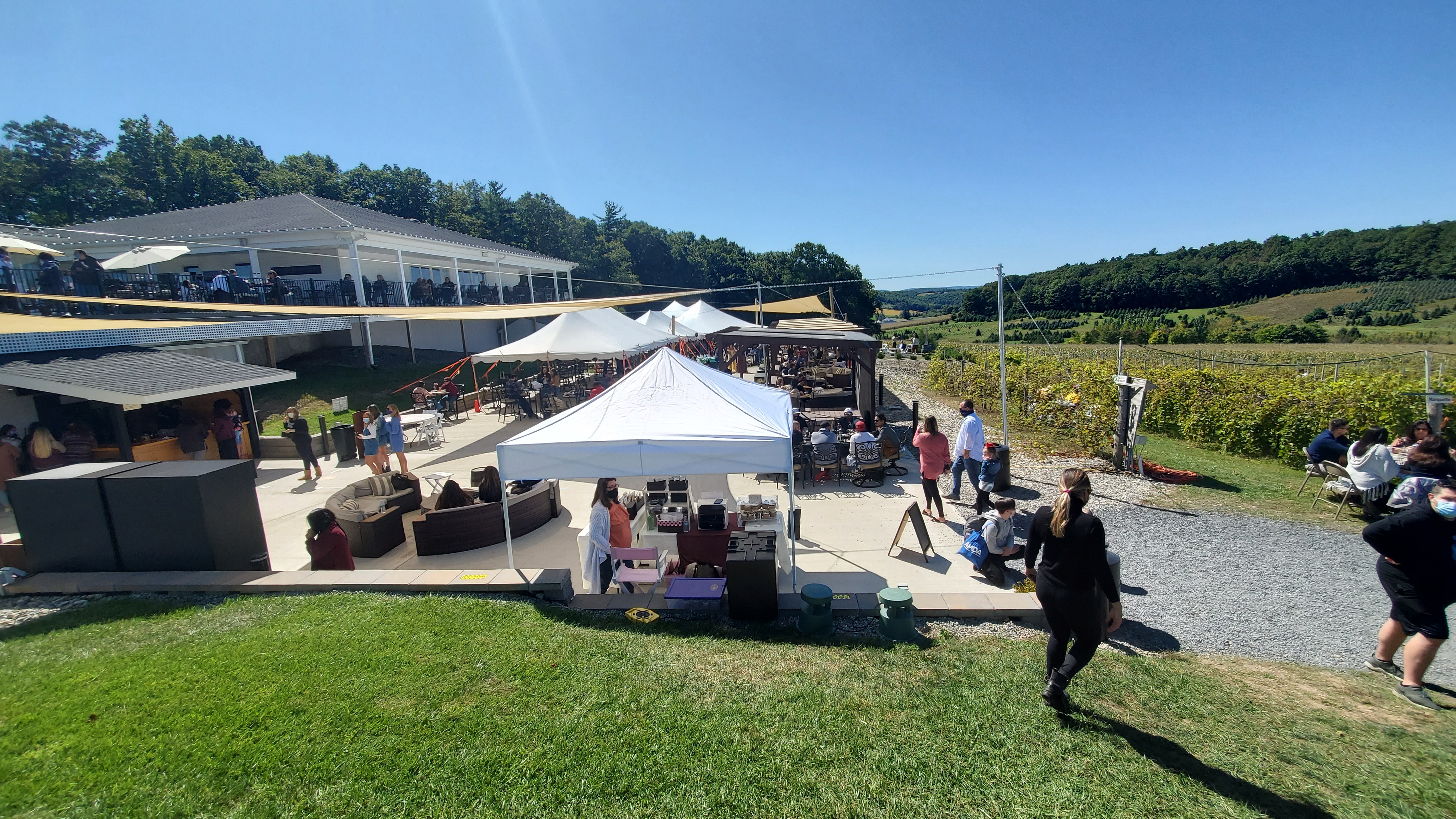 Blue Ridge Vineyards Poconos PA review